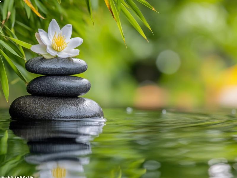 không gian sống gia đình hạnh phúc chuẩn phong thủy mang lại may mắn
